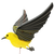Yellow Warbler Bird Flying Mobile