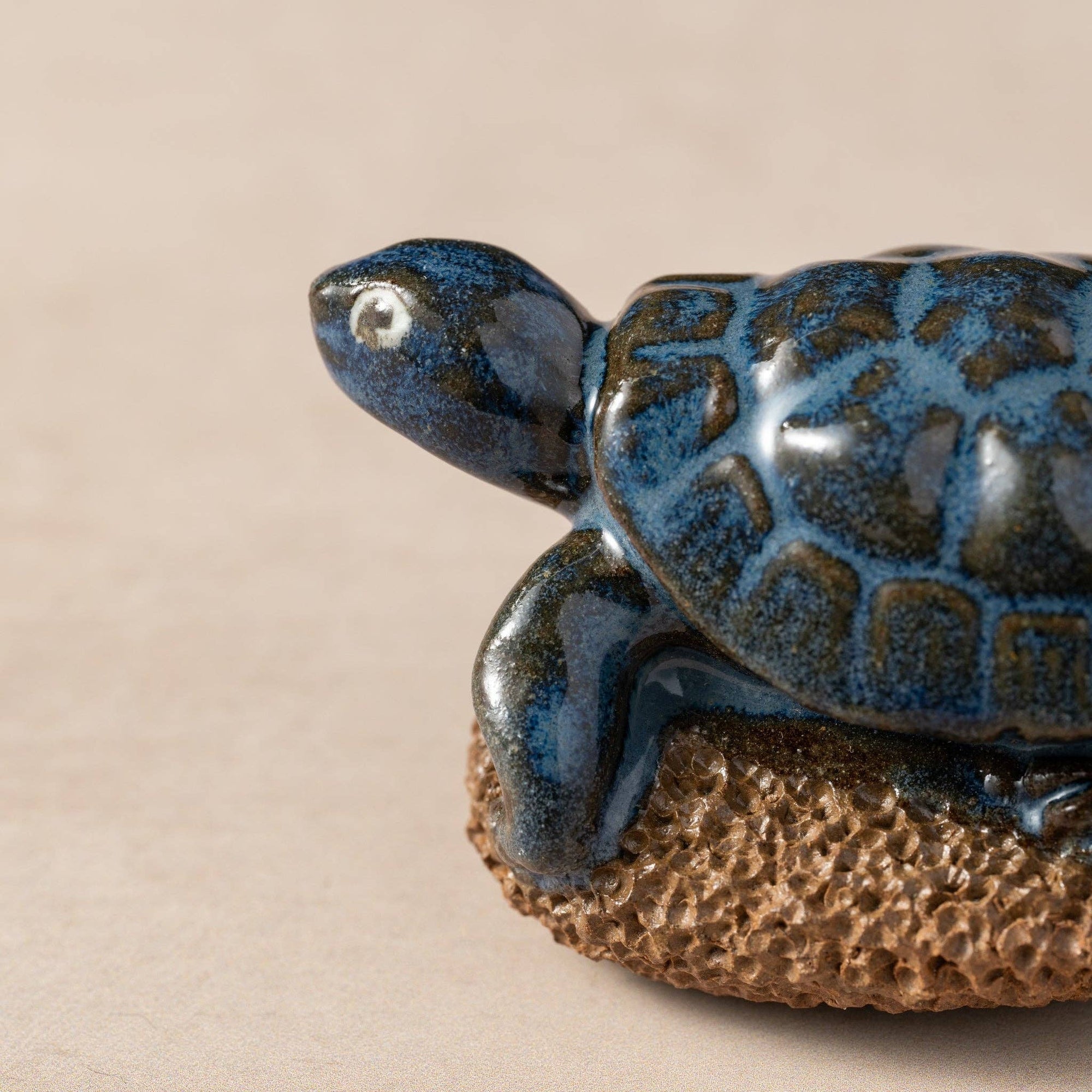 Pedicure Friend Turtle