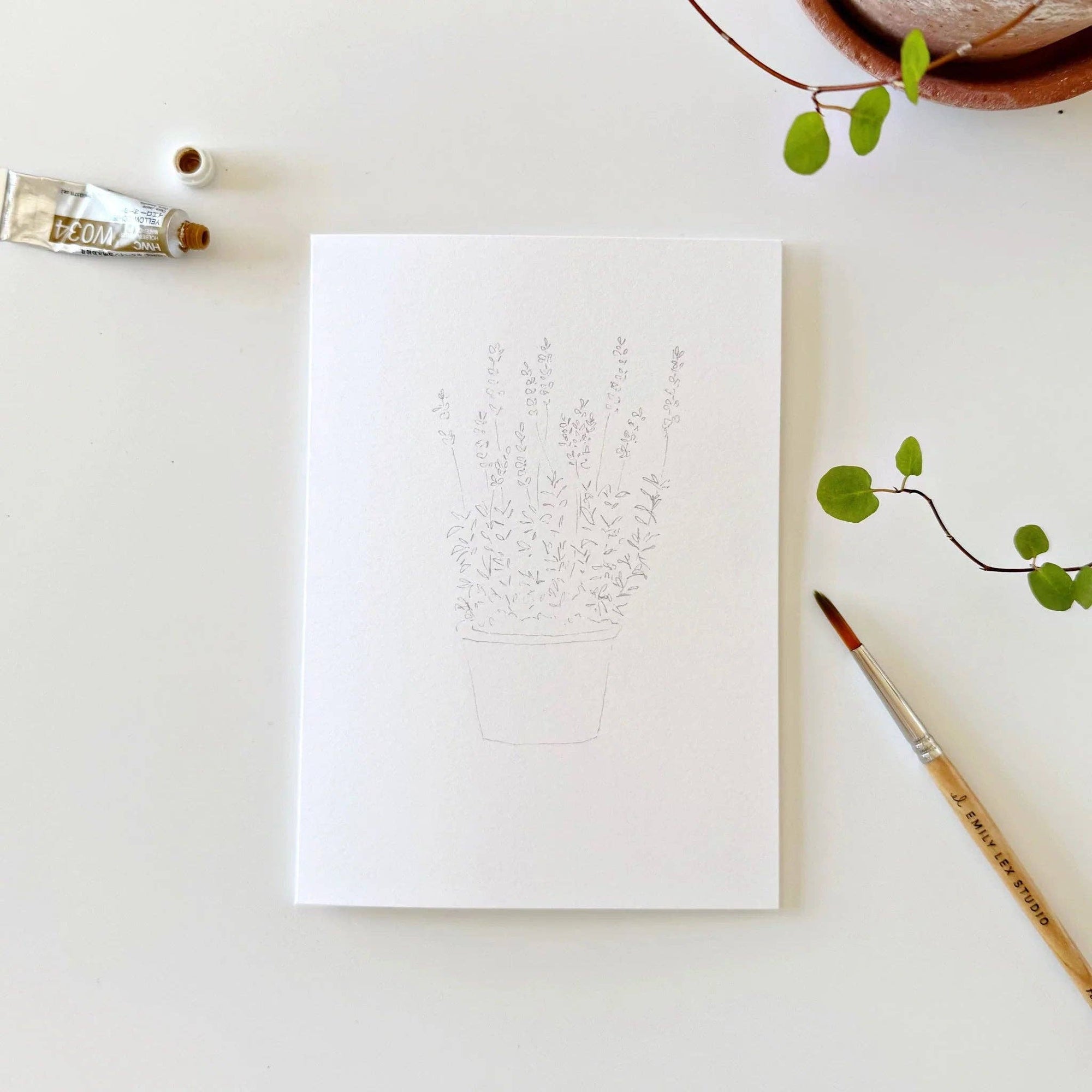 Potted plants paintable watercolor notecard set