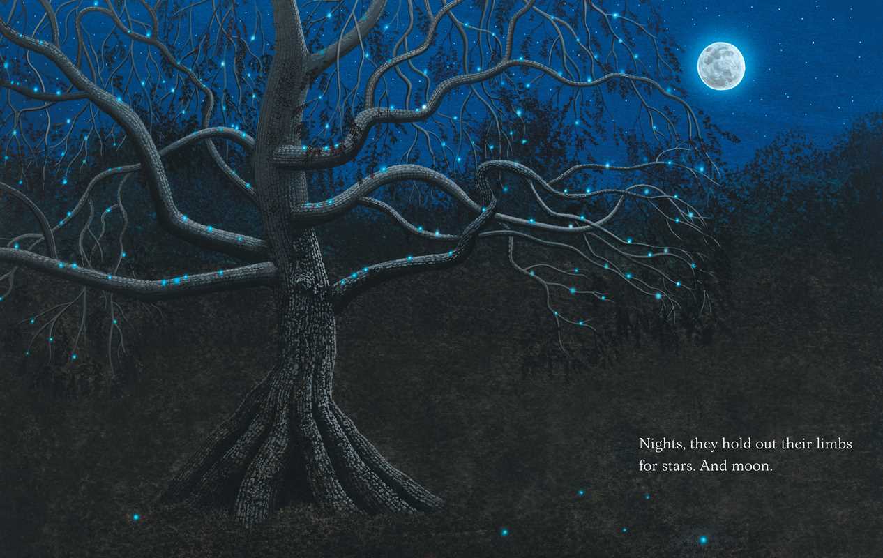 Trees by Tony   Johnston