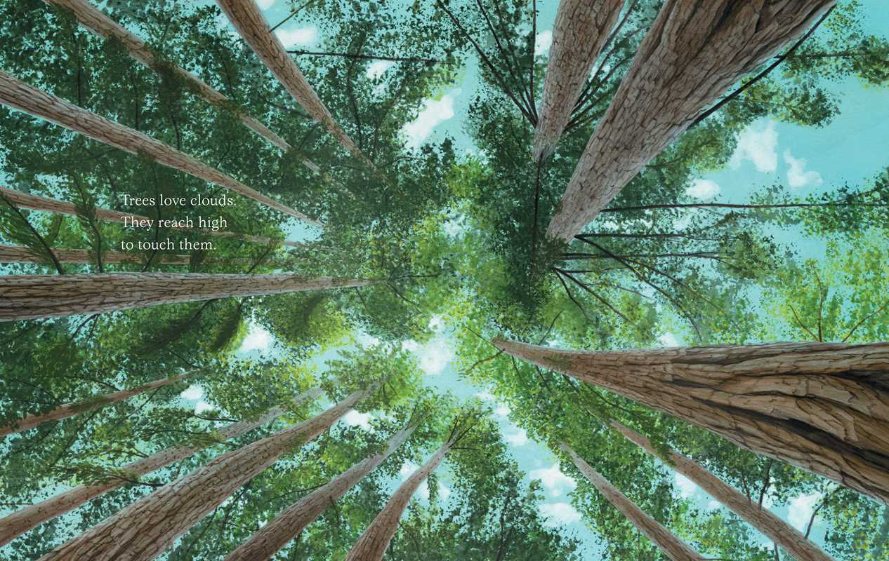 Trees by Tony   Johnston