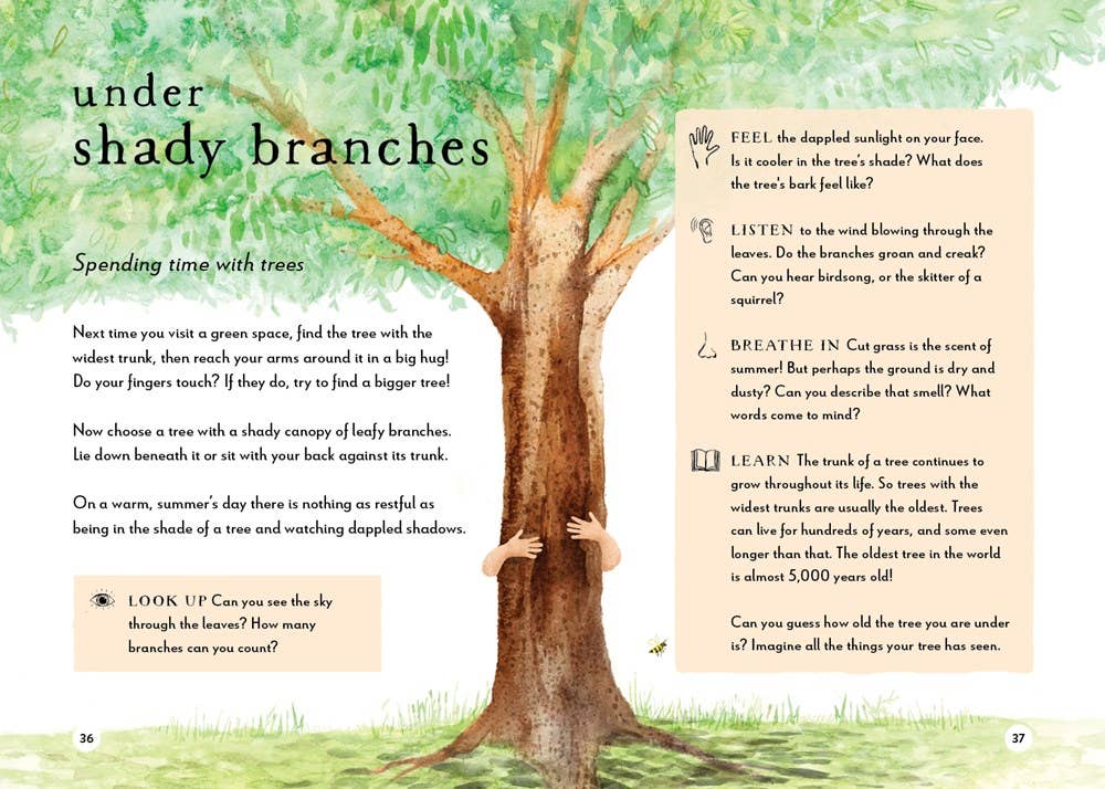 A Field Guide to Summer: Play and Learn in Nature