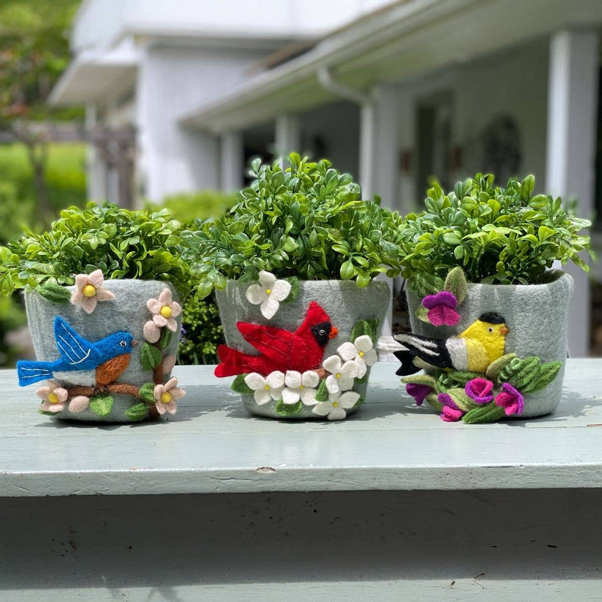 Dogwood Cardinal Felt Pot