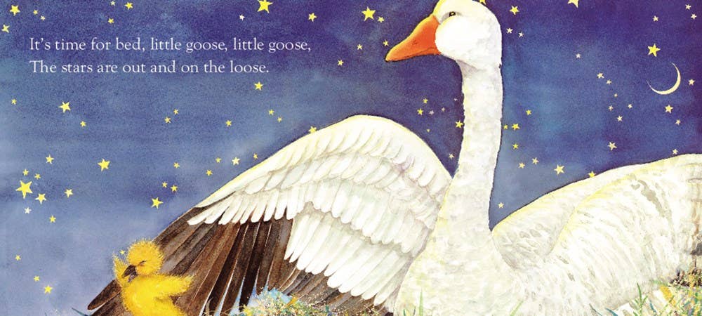 Time for Bed Board Book : Mem Fox &amp;Jane Dyer