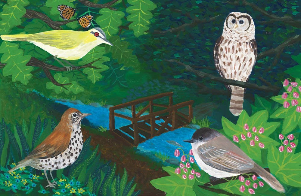 Listen to the Birds