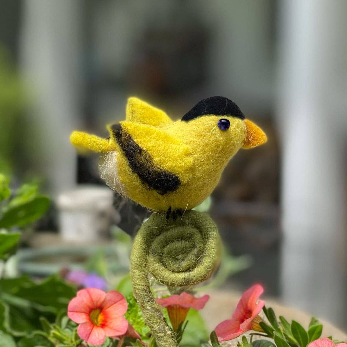 Goldfinch Frond Friend