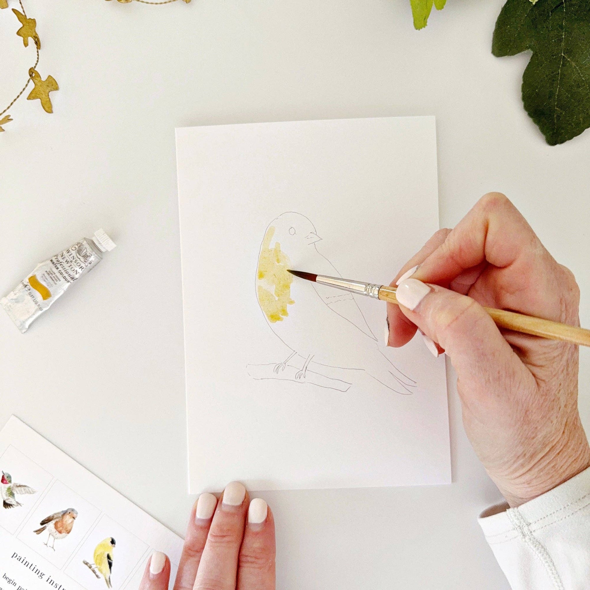 Backyard birds paintable watercolor notecard set