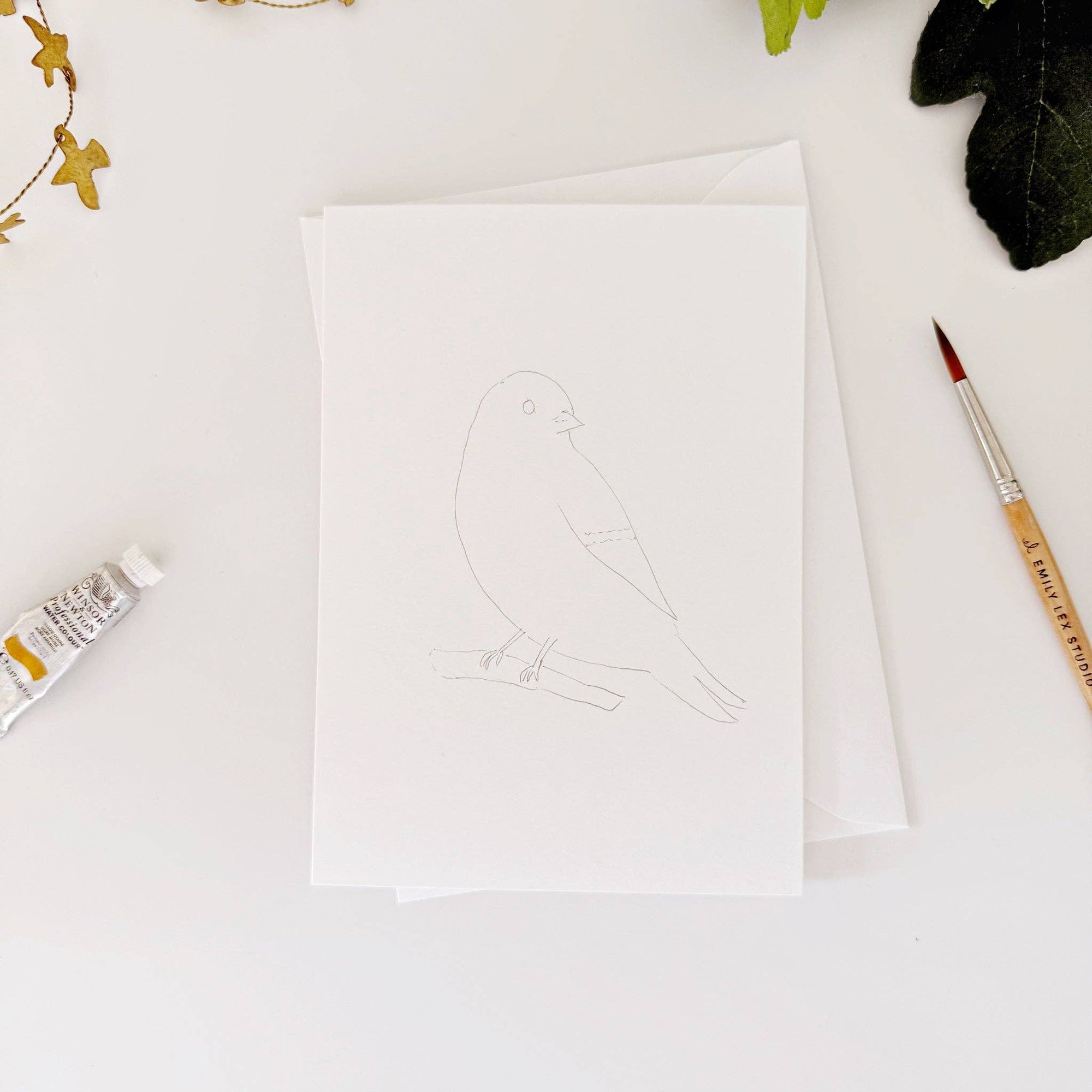 Backyard birds paintable watercolor notecard set