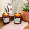 Candles that Save Dogs (Parks and Paws)