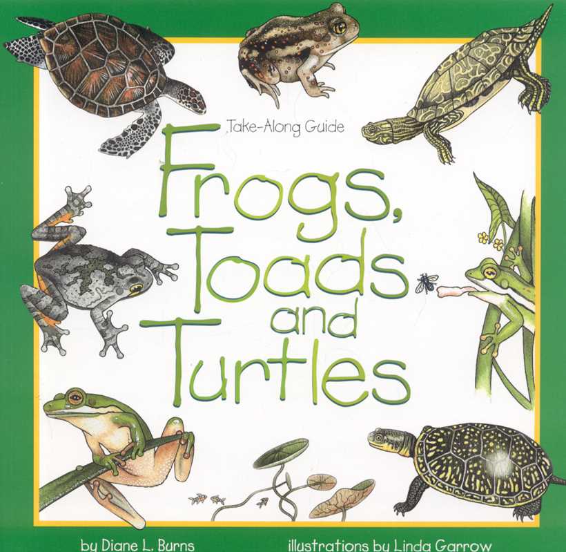 Frogs, Toads &amp; Turtles by Diane Burns