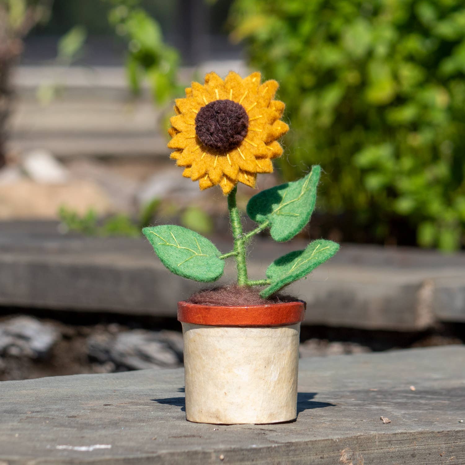 Sunflower Potted Flower