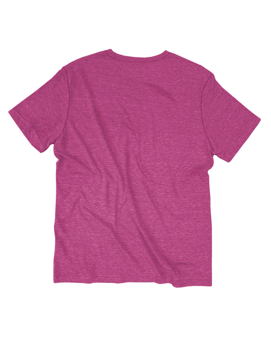 Unisex Short Sleeve Triblend Tee