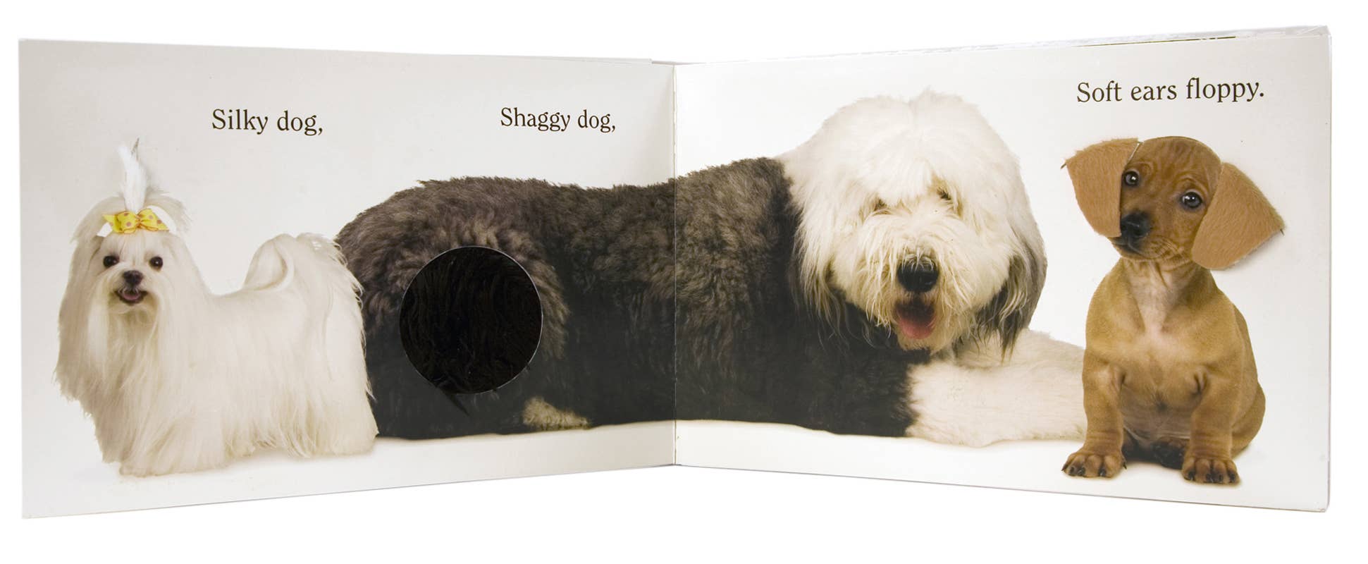 Dog by Matthew Van Fleet