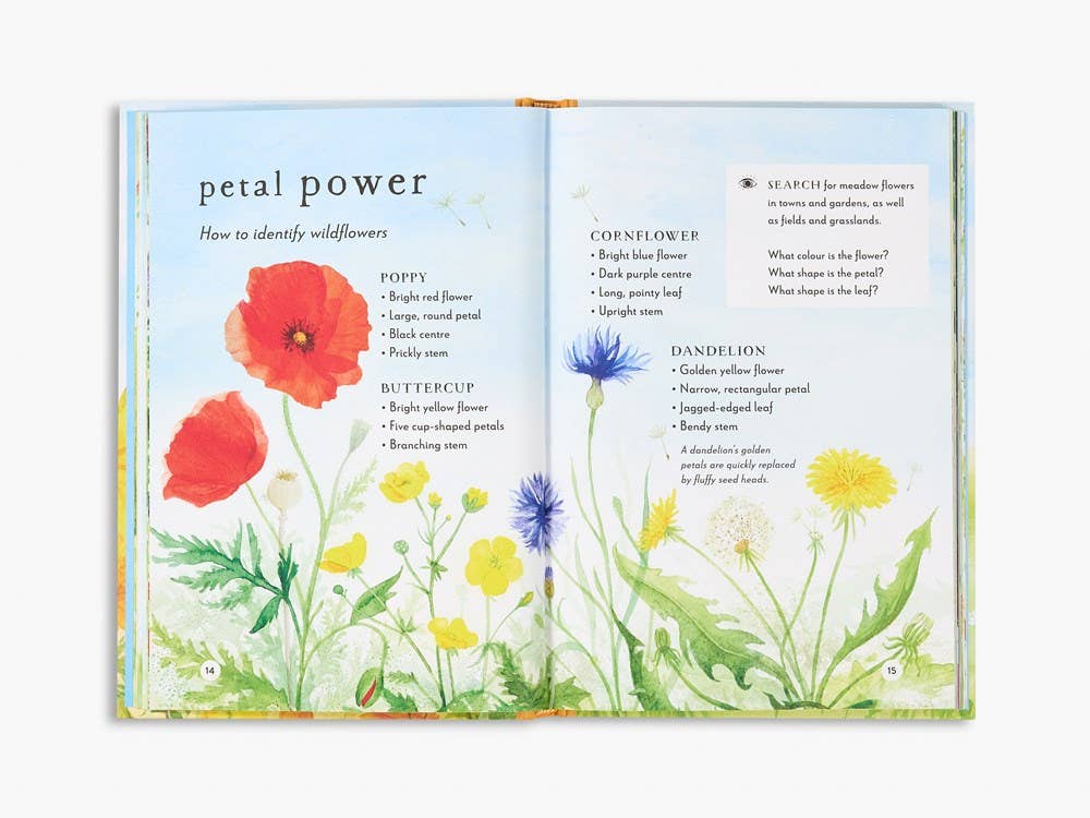A Field Guide to Summer: Play and Learn in Nature