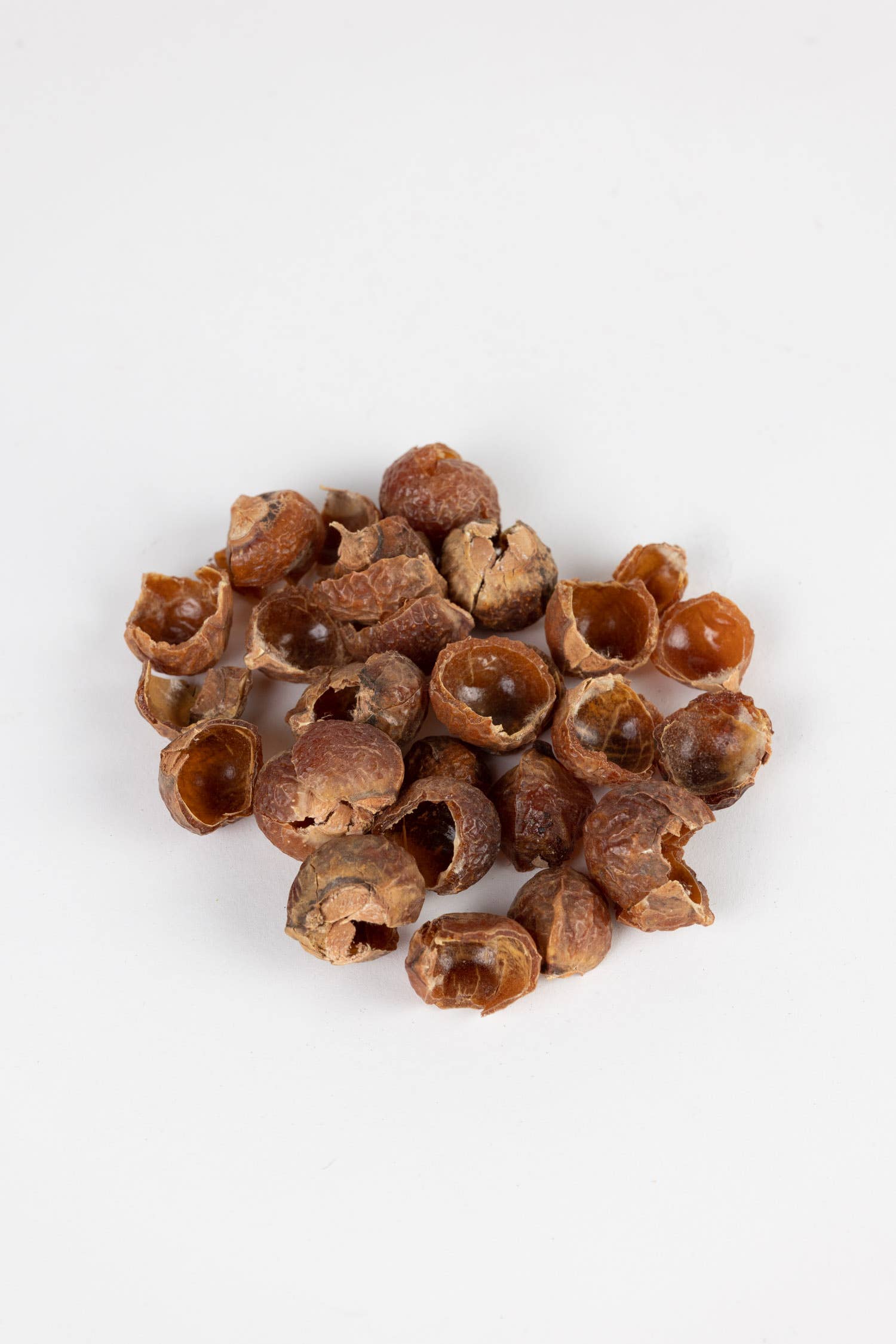 Laundry Soap Nuts *