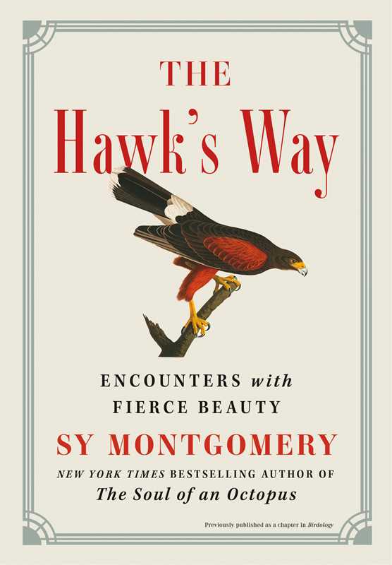 Hawk's Way by Sy   Montgomery