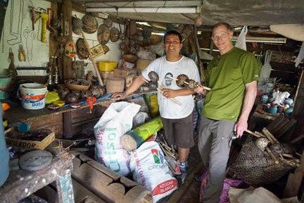 Baby Turtle Wingo Shaker Instrument