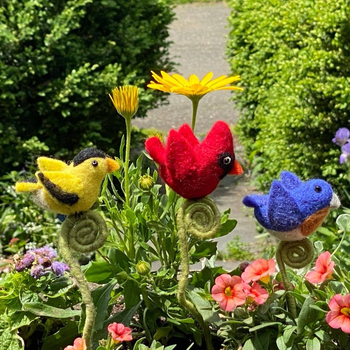 Bluebird Frond Friend