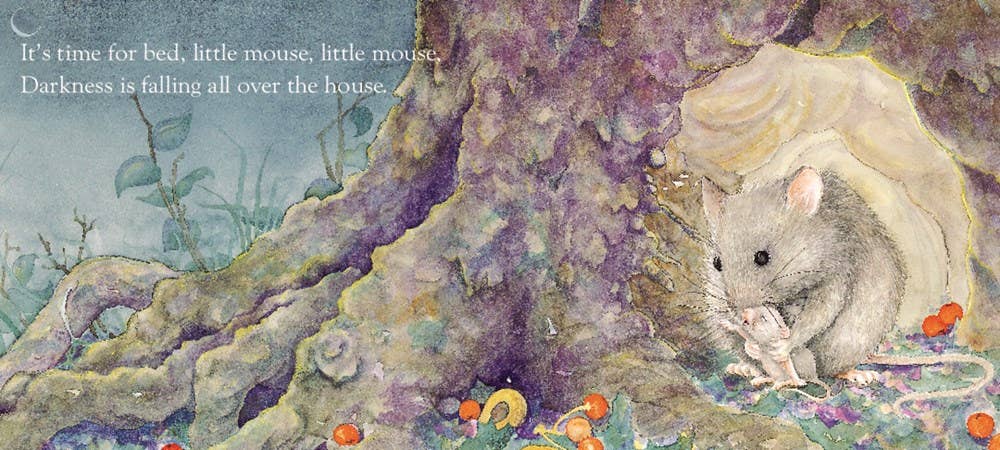 Time for Bed Board Book : Mem Fox &amp;Jane Dyer