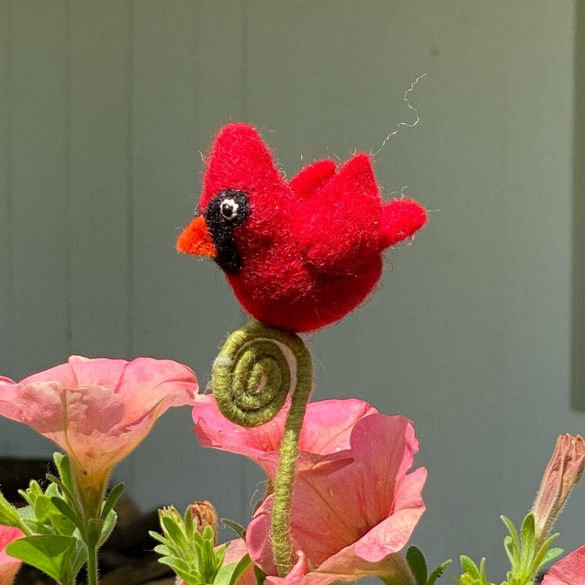 Cardinal Frond Friend