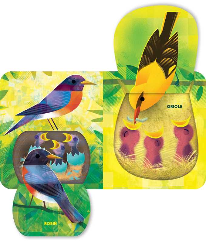 Whose Nest Is Best? by Heidi  E. Y. Stemple