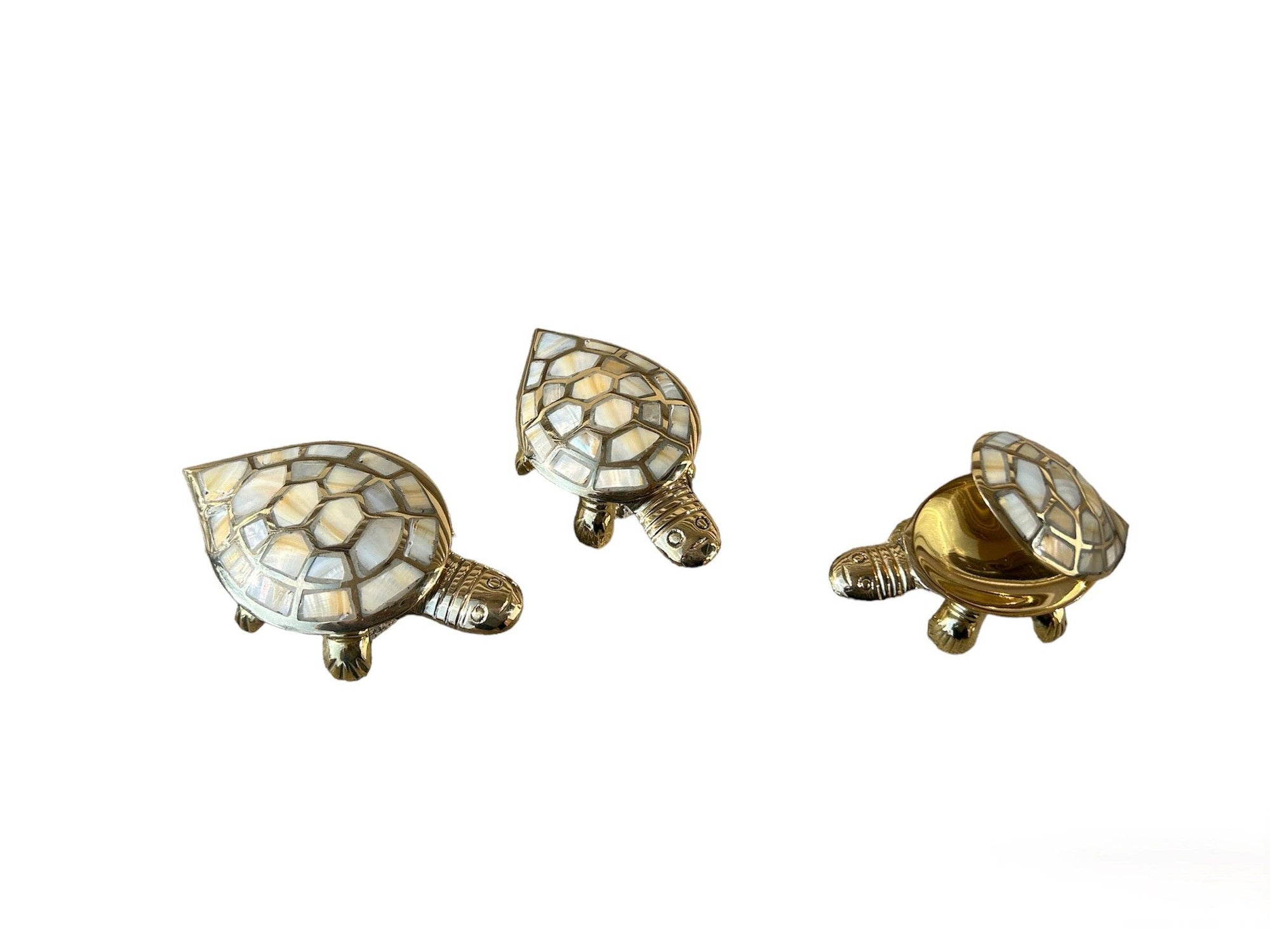 Turtle Box