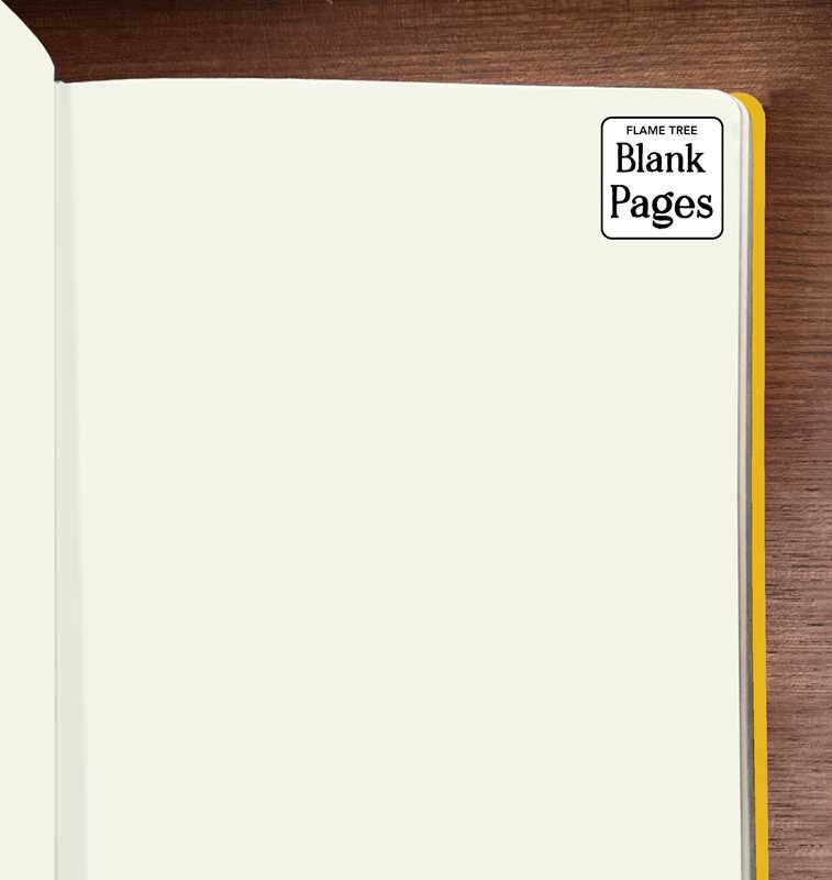 Vincent van Gogh: Sunflowers Artisan Art Blank Notebook (Flame Tree Journals) by