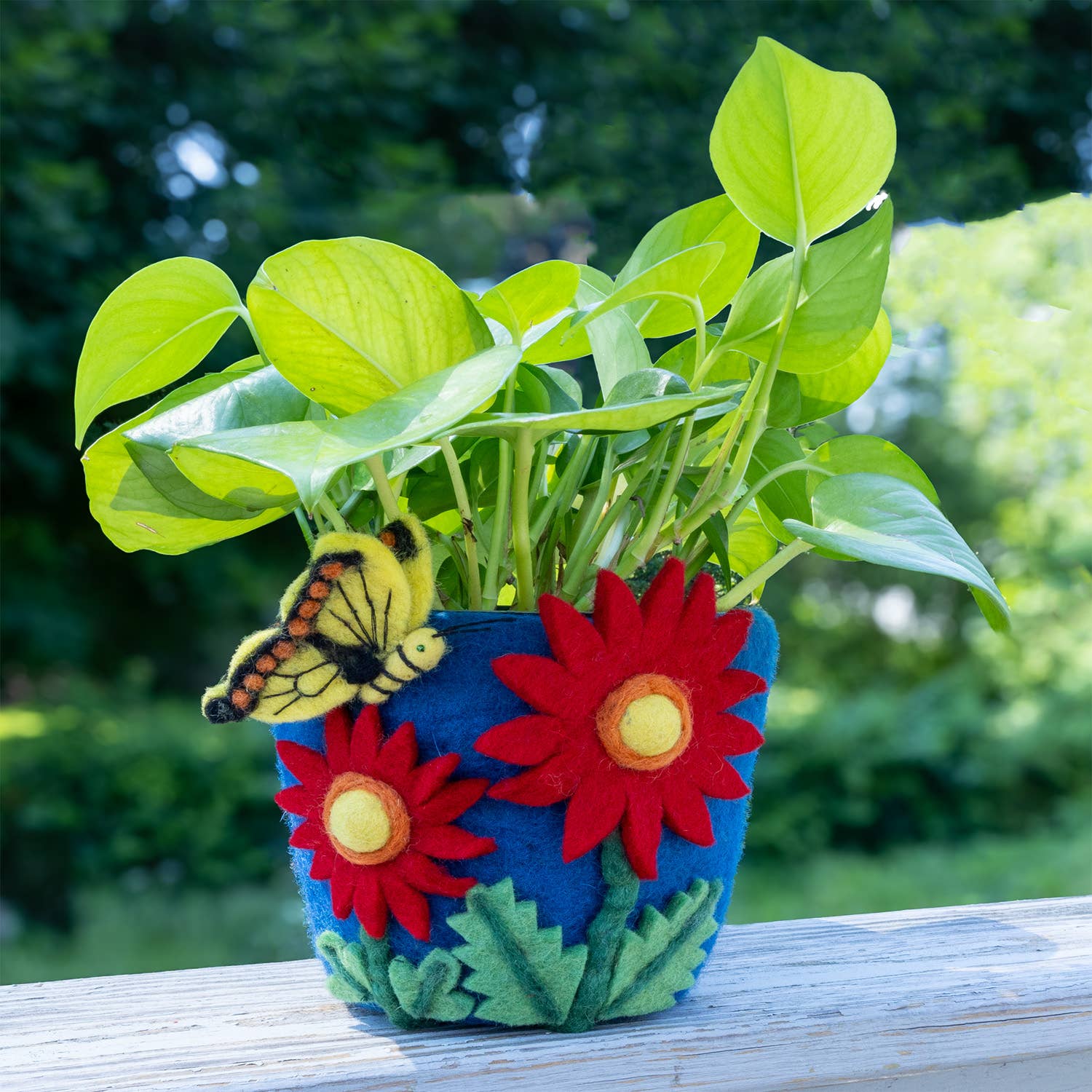 Felt Pot: Cosmos