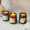 Candles that Give Books (Hot Honey)