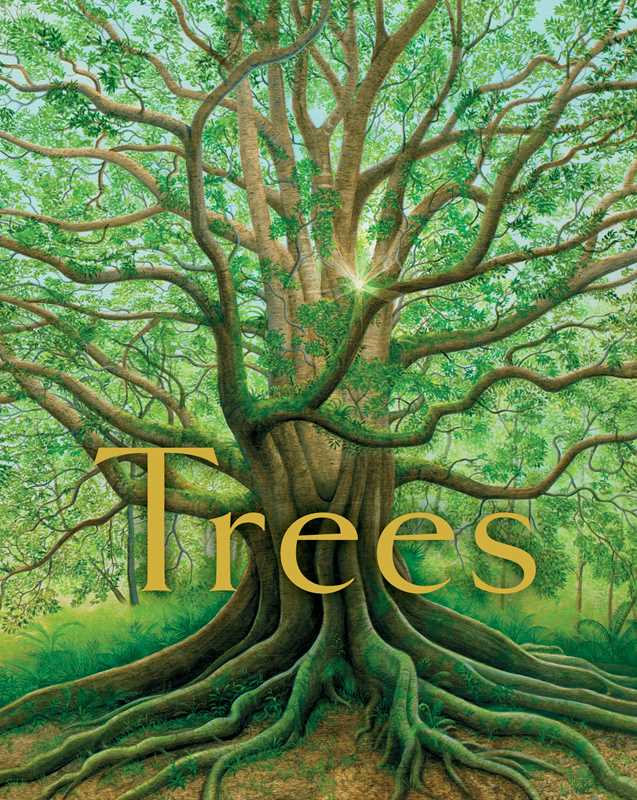 Trees by Tony   Johnston