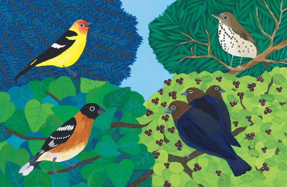 Listen to the Birds