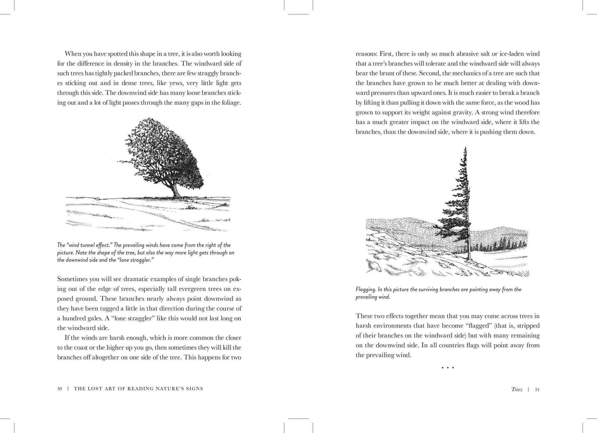 The Lost Art of Reading Nature's Signs