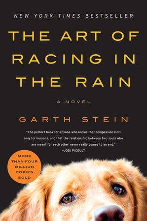 Art of Racing in the Rain, The : Garth Stein