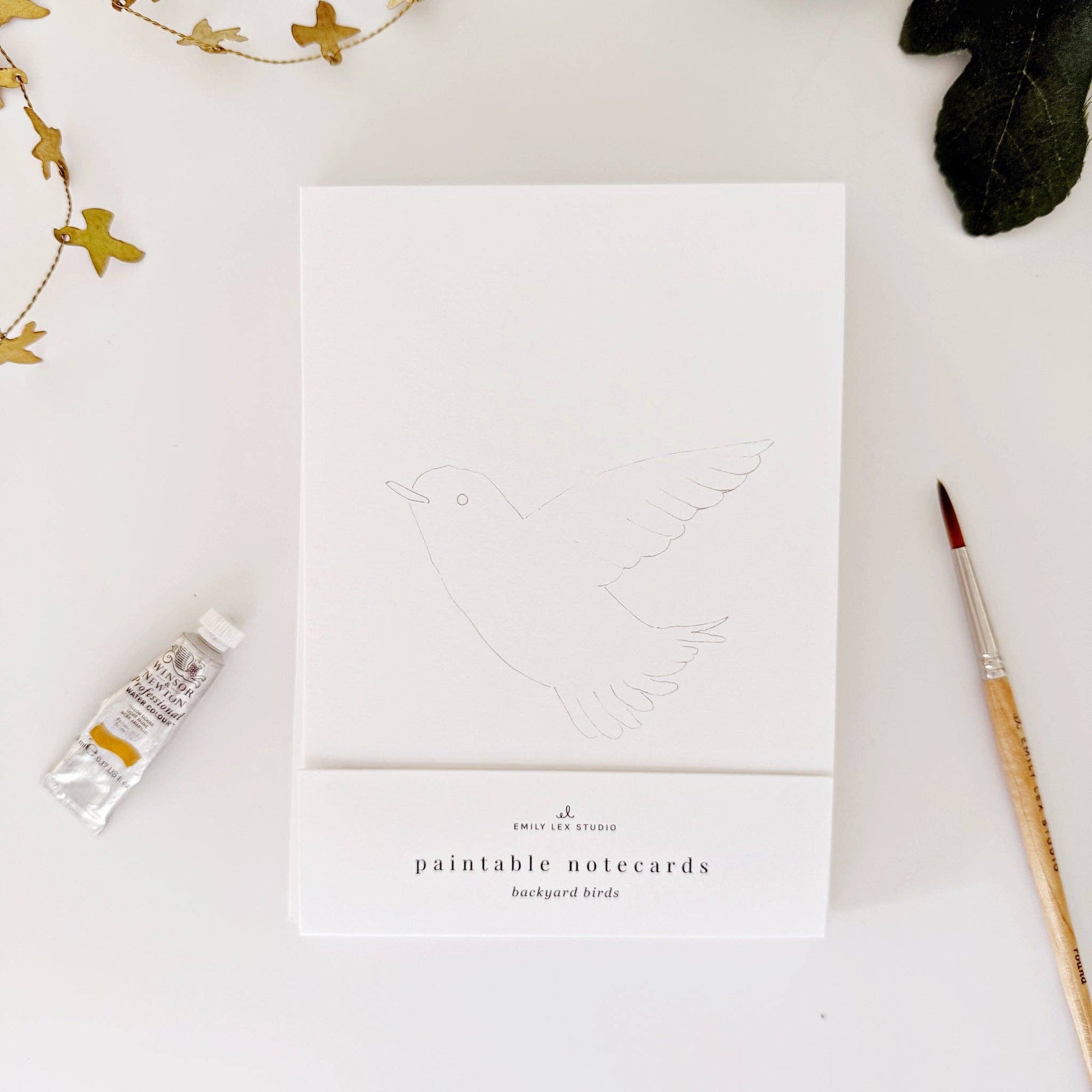 Backyard birds paintable watercolor notecard set