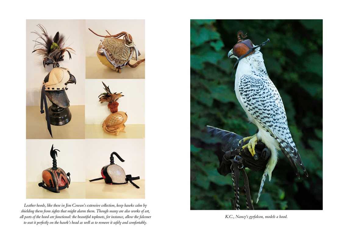Hawk's Way by Sy   Montgomery