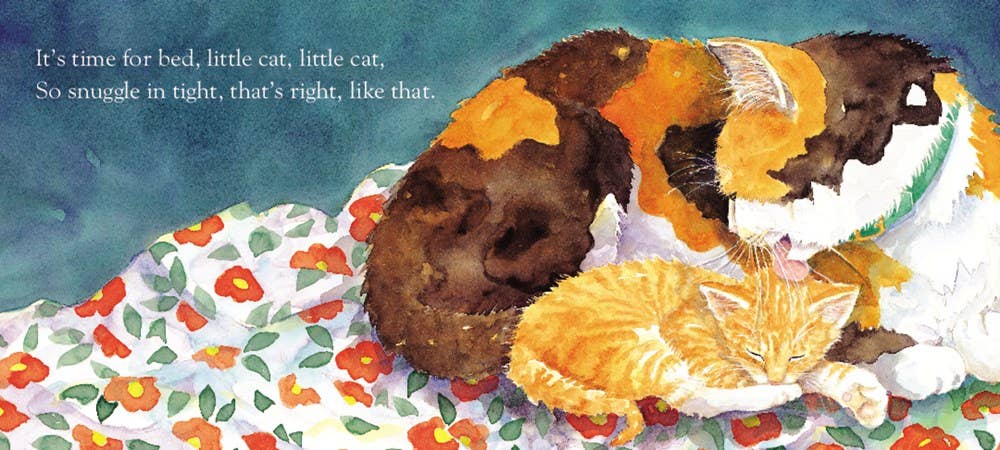 Time for Bed Board Book : Mem Fox &amp;Jane Dyer