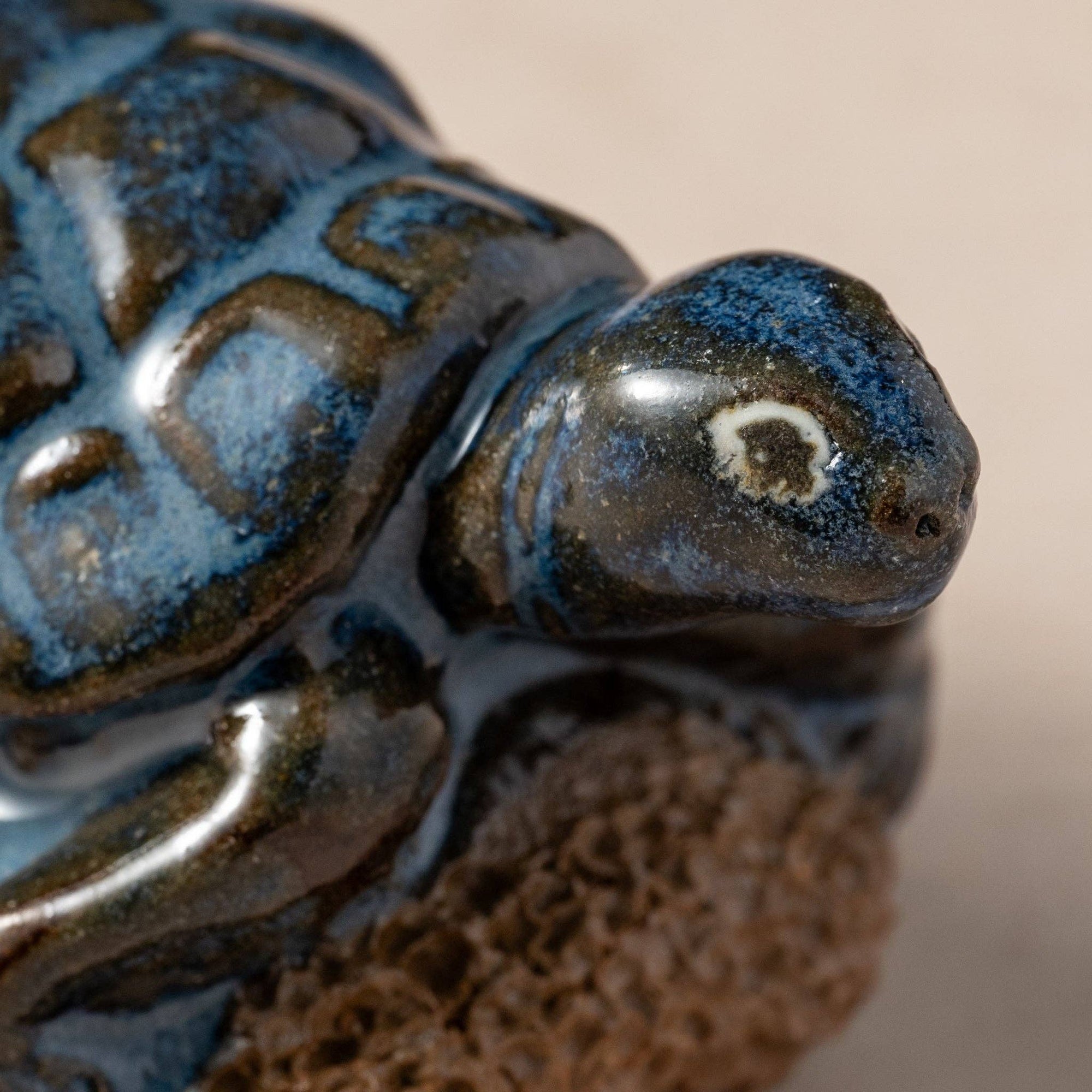 Pedicure Friend Turtle