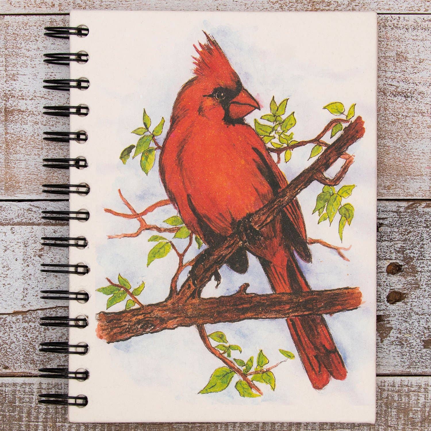 Large Notebook Cardinal Sketch (w)