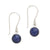 Midnight Blue Earrings