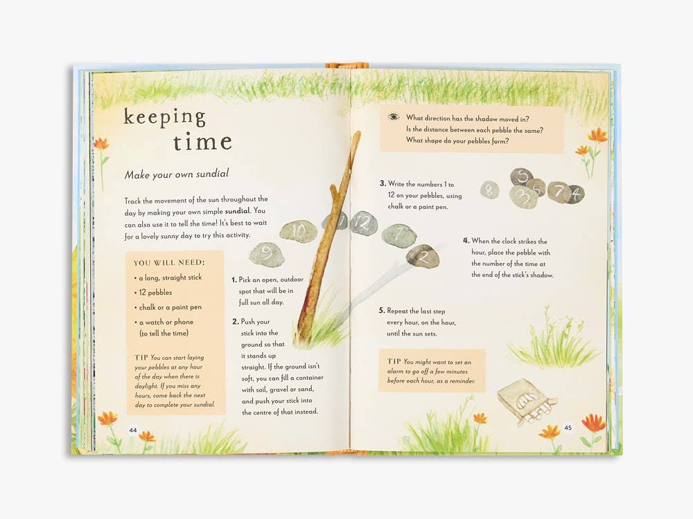 A Field Guide to Summer: Play and Learn in Nature