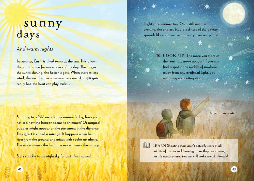 A Field Guide to Summer: Play and Learn in Nature
