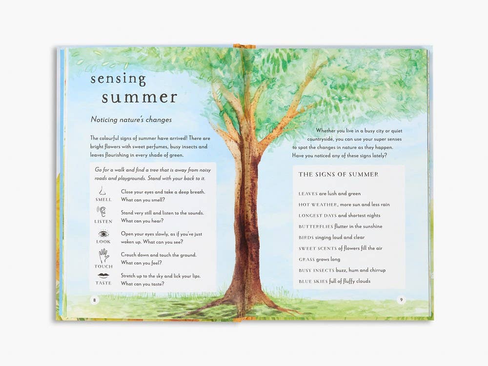 A Field Guide to Summer: Play and Learn in Nature