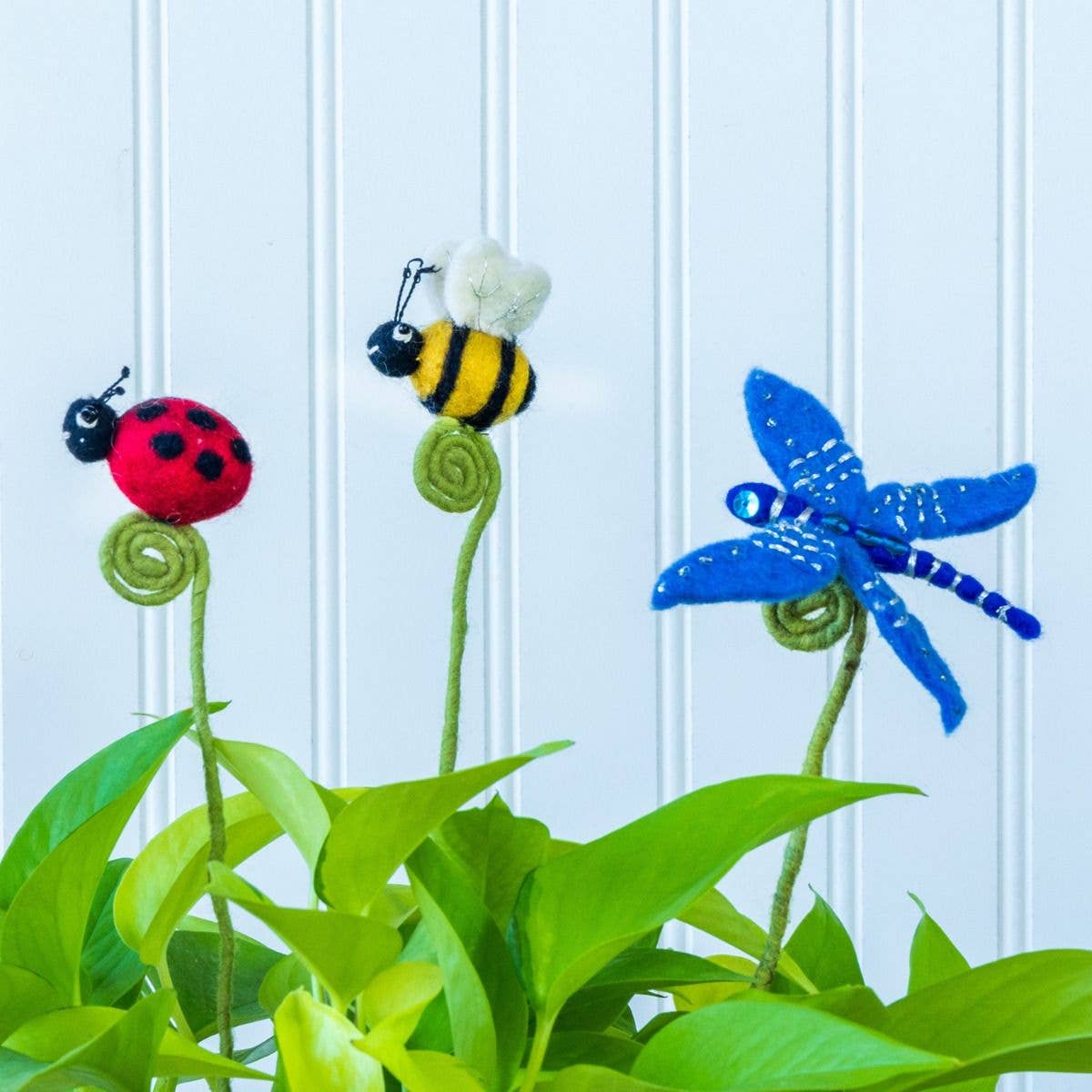 Honey Bee Frond Friend