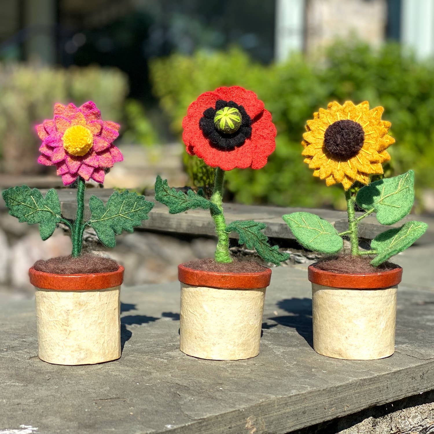 Sunflower Potted Flower