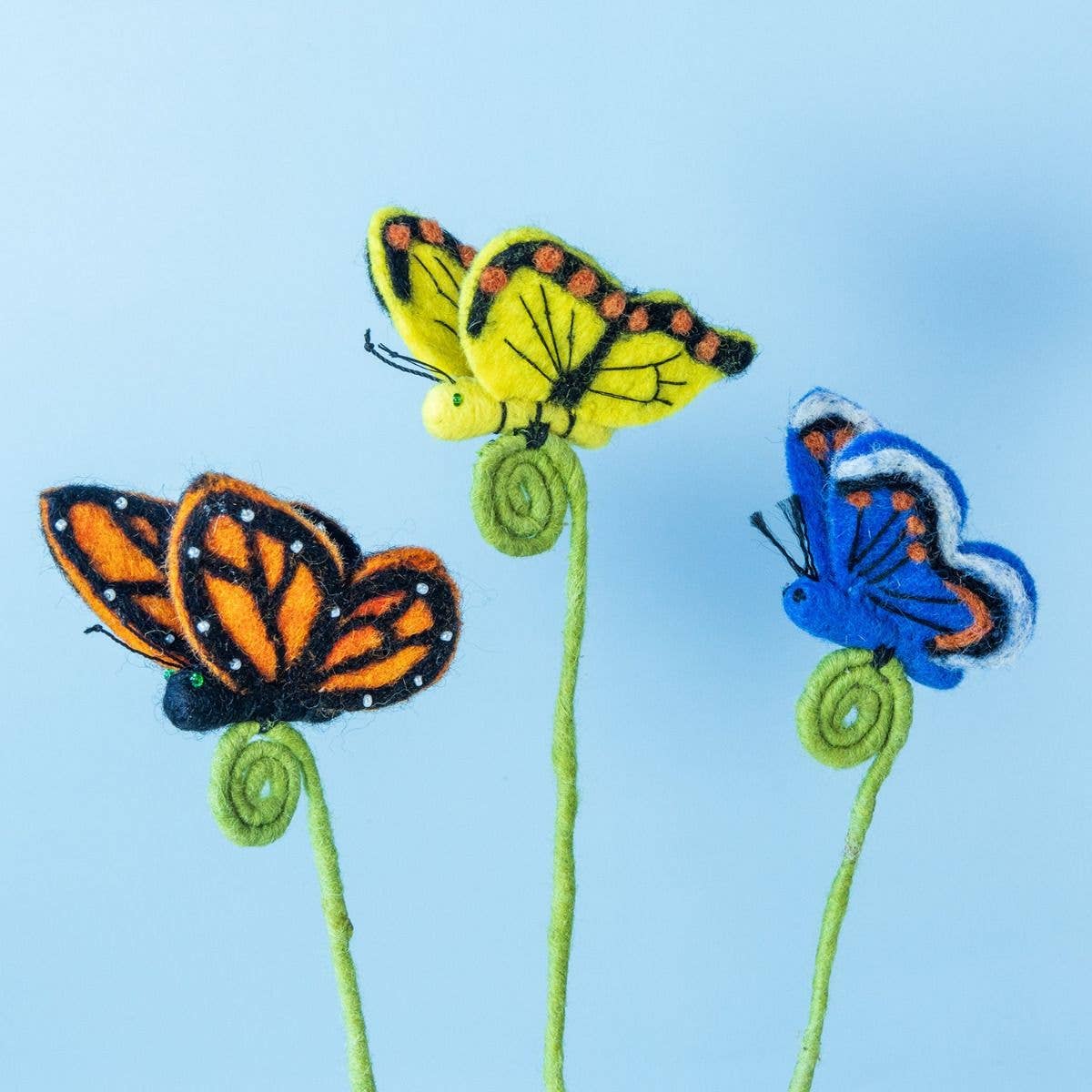 Monarch Butterfly Frond Friend