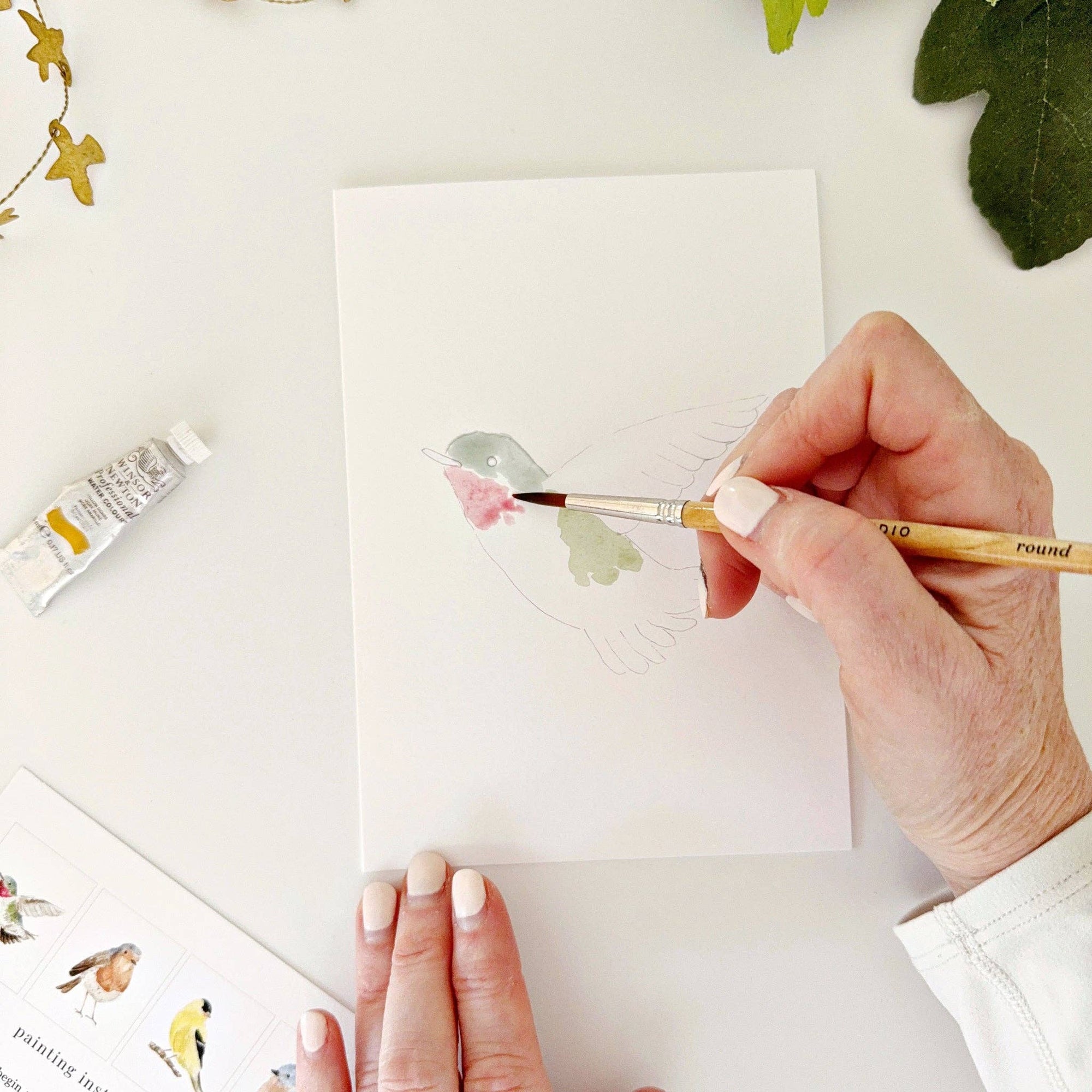 Backyard birds paintable watercolor notecard set