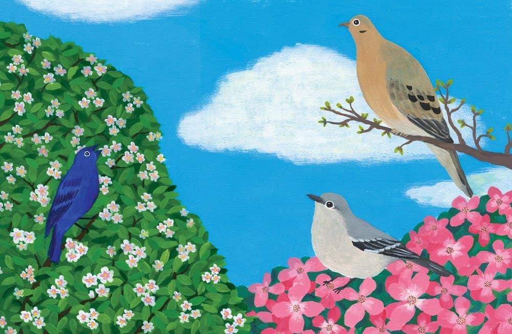 Listen to the Birds