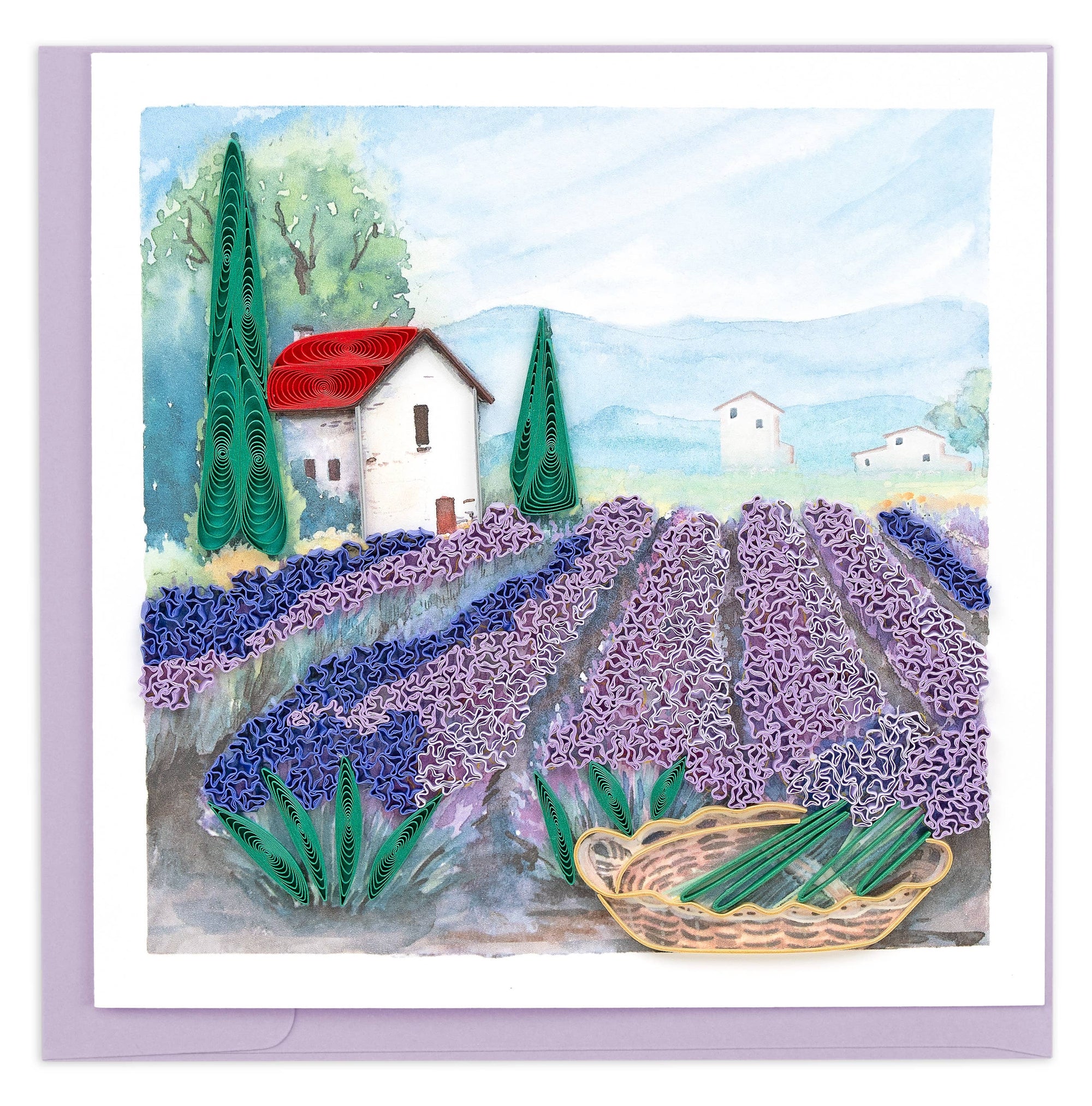 Lavender Fields