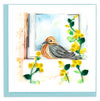 Mourning Dove