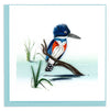 Perched Kingfisher